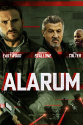 หนังฝรั่ง Alarum